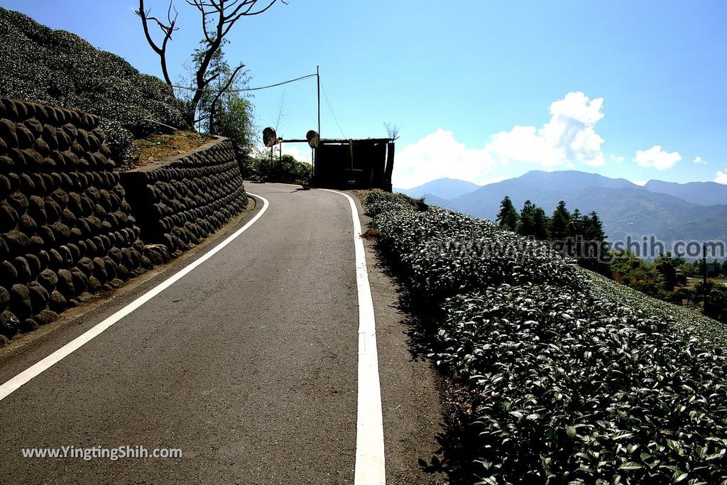 YTS_YTS_20190928_嘉義阿里山石棹資訊站／櫻之道步道／中興國小／石棹觀景台Chiayi Alishan Shizhuo Observation Deck／Sakura Trail087_539A6155.jpg