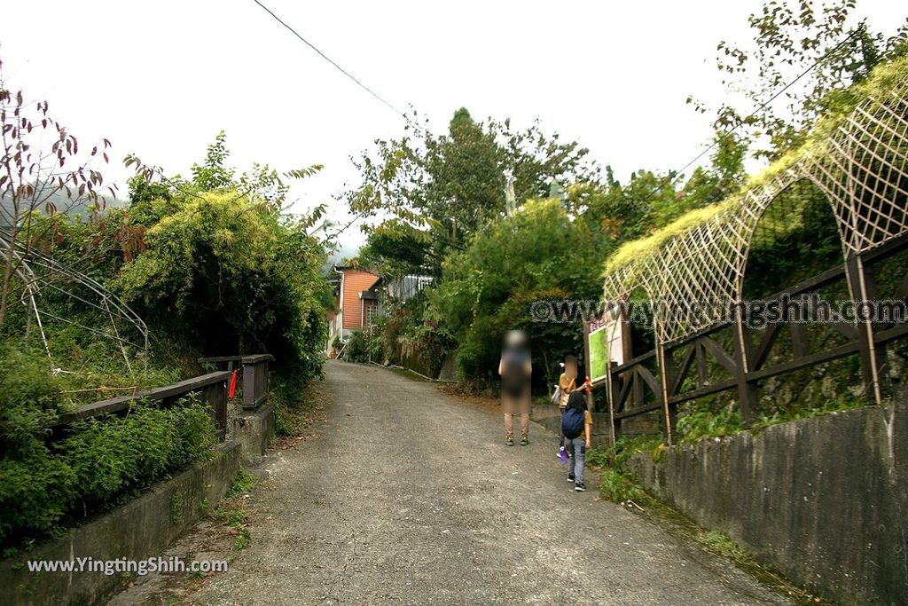 YTS_YTS_20190928_嘉義阿里山頂石棹（石桌）步道區霧之道Chiayi Alishan Mist Trail003_539A6578.jpg