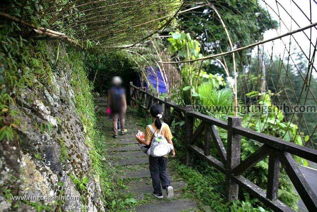 YTS_YTS_20190928_嘉義阿里山頂石棹（石桌）步道區霧之道Chiayi Alishan Mist Trail008_539A6587.jpg