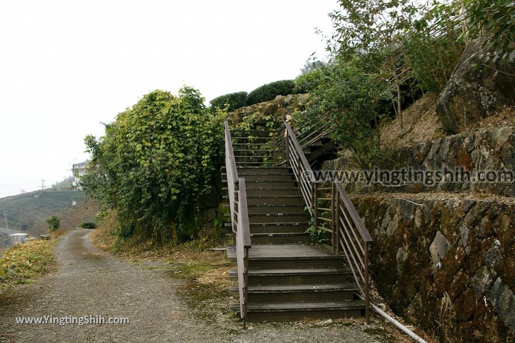 YTS_YTS_20190928_嘉義阿里山頂石棹（石桌）步道區霧之道Chiayi Alishan Mist Trail031_539A6621.jpg