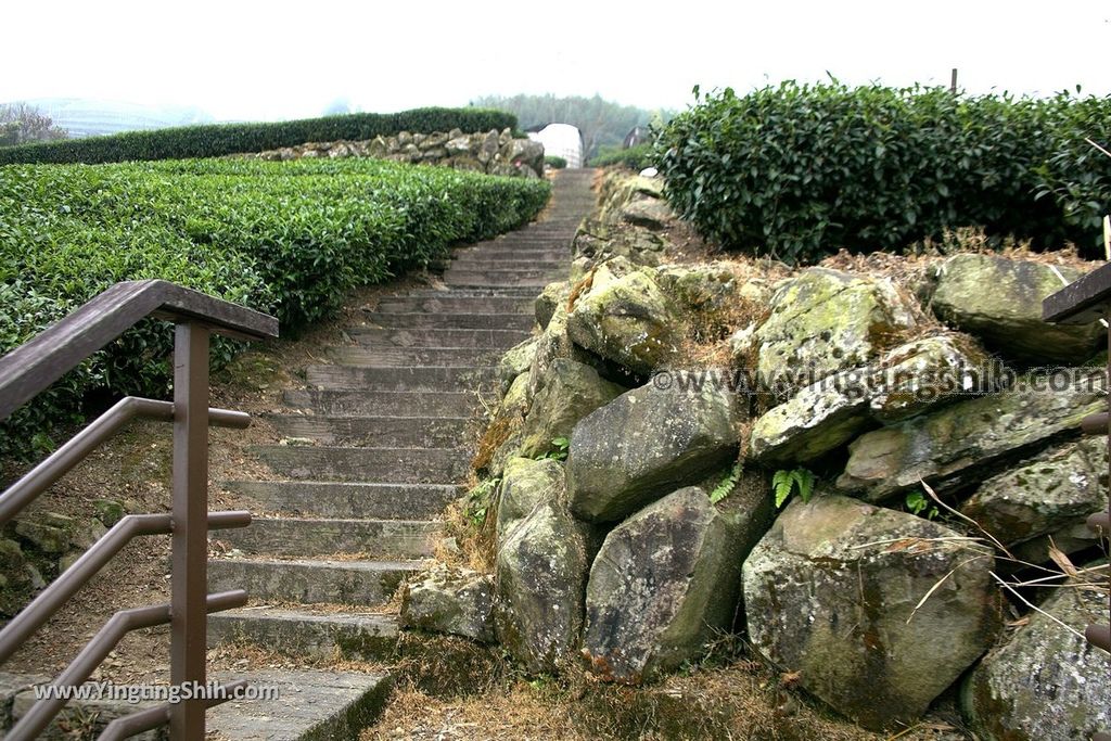 YTS_YTS_20190928_嘉義阿里山頂石棹（石桌）步道區霧之道Chiayi Alishan Mist Trail033_539A6631.jpg