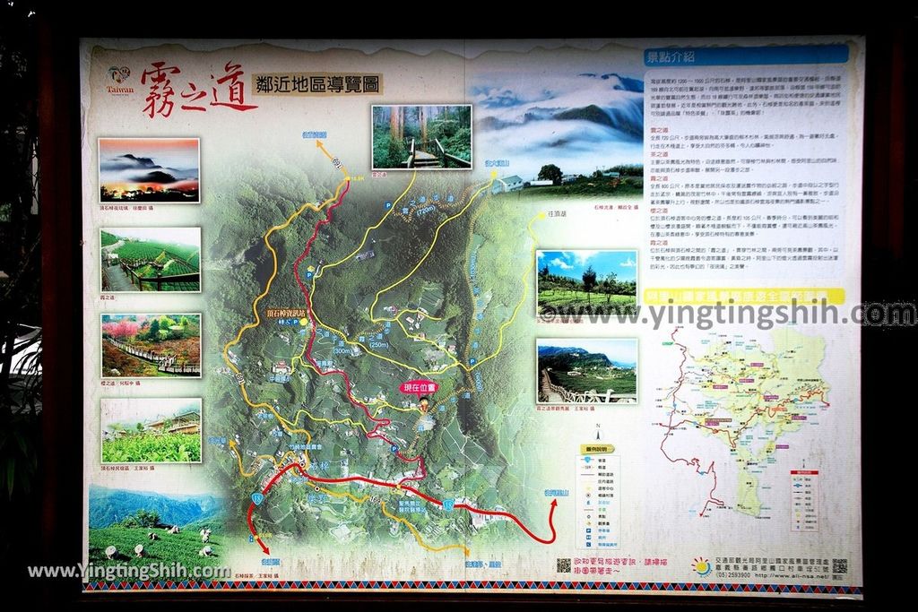 YTS_YTS_20190928_嘉義阿里山頂石棹（石桌）步道區霧之道Chiayi Alishan Mist Trail047_539A6661.jpg