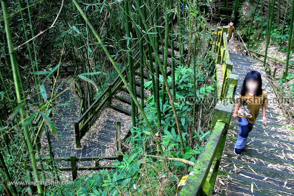 YTS_YTS_20190928_嘉義阿里山頂石棹（石桌）步道區霧之道Chiayi Alishan Mist Trail068_539A6793.jpg