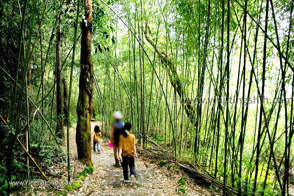 YTS_YTS_20190928_嘉義阿里山頂石棹（石桌）步道區霧之道Chiayi Alishan Mist Trail085_539A6756.jpg