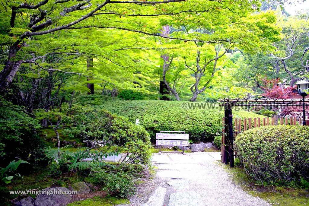 YTS_YTS_20190731_日本東北宮城松島円通院／三慧殿／本堂大悲亭Japan Tohoku Miyagi Matsushima Entsūin Temple035_539A5056.jpg