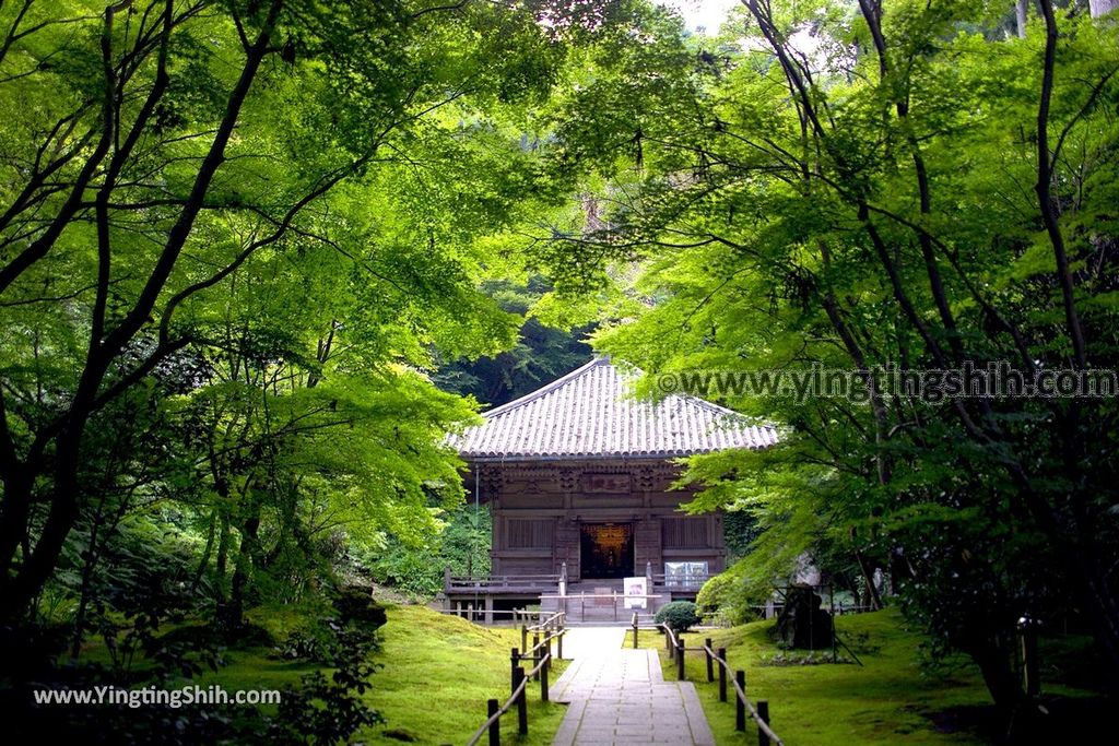 YTS_YTS_20190731_日本東北宮城松島円通院／三慧殿／本堂大悲亭Japan Tohoku Miyagi Matsushima Entsūin Temple041_539A5094.jpg