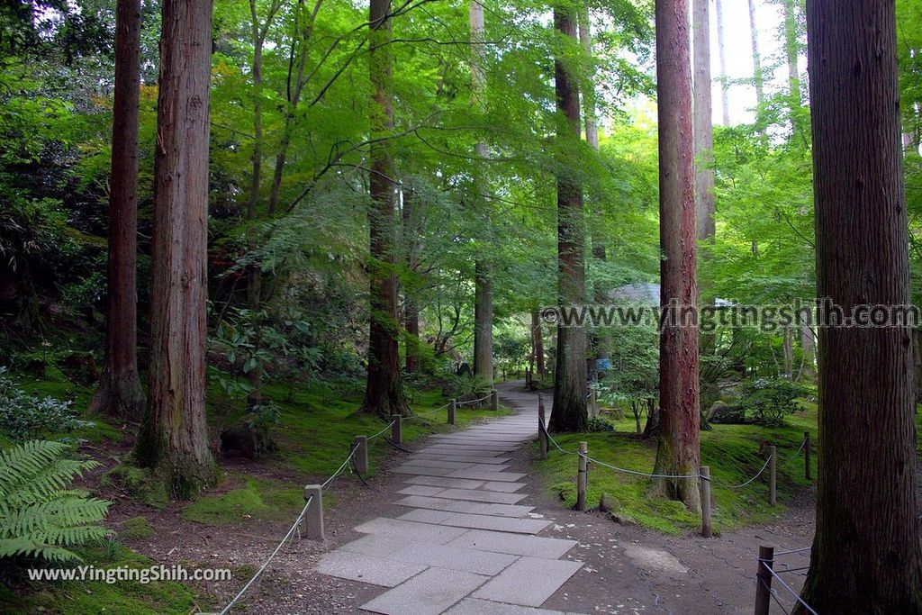 YTS_YTS_20190731_日本東北宮城松島円通院／三慧殿／本堂大悲亭Japan Tohoku Miyagi Matsushima Entsūin Temple070_539A5194.jpg