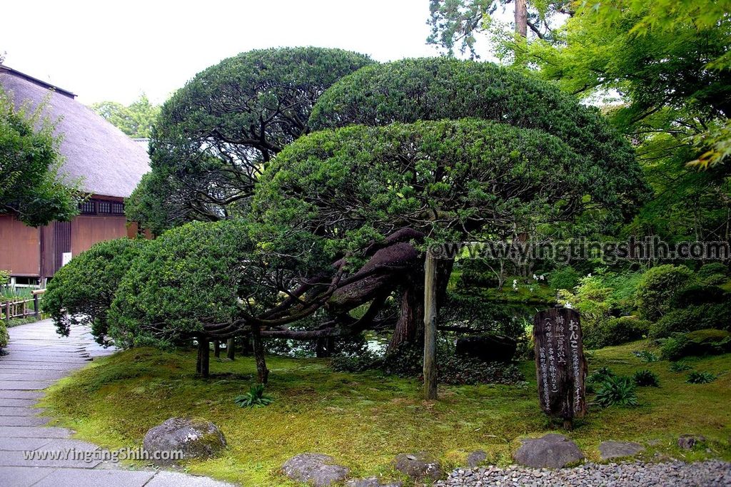 YTS_YTS_20190731_日本東北宮城松島円通院／三慧殿／本堂大悲亭Japan Tohoku Miyagi Matsushima Entsūin Temple080_539A5218.jpg