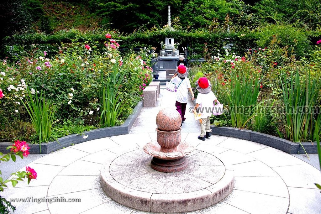 YTS_YTS_20190731_日本東北宮城松島円通院／三慧殿／本堂大悲亭Japan Tohoku Miyagi Matsushima Entsūin Temple088_539A5252.jpg