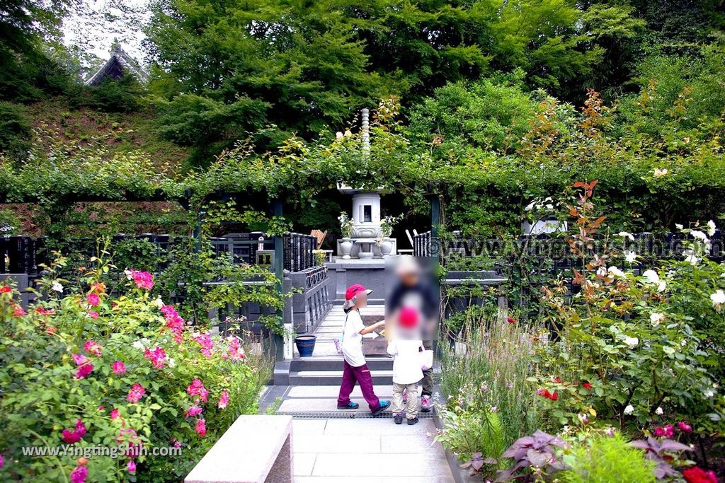 YTS_YTS_20190731_日本東北宮城松島円通院／三慧殿／本堂大悲亭Japan Tohoku Miyagi Matsushima Entsūin Temple091_539A5256.jpg