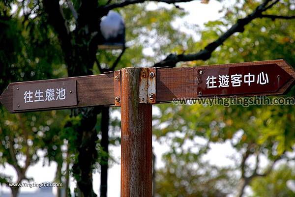 YTS_YTS_20191027_台中后里花田綠廊環保公園／遊客中心／拼布公園Taichung Houli Environmental Park011_539A9753.jpg