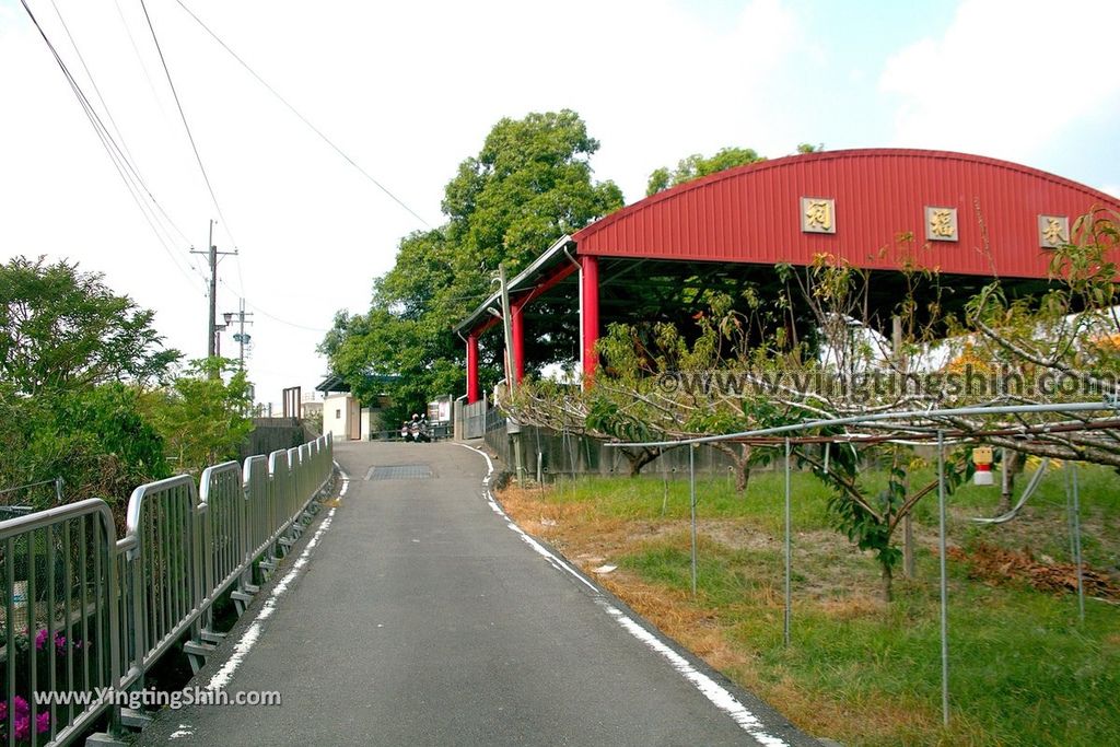 YTS_YTS_20191026_台中石岡梅子社區百年芒果樹／承福祠Taichung Shigang Centennial Mango Tree007_539A8774.jpg