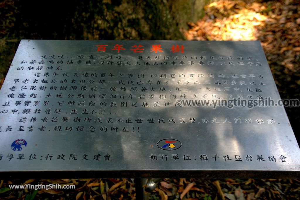 YTS_YTS_20191026_台中石岡梅子社區百年芒果樹／承福祠Taichung Shigang Centennial Mango Tree029_539A8798.jpg