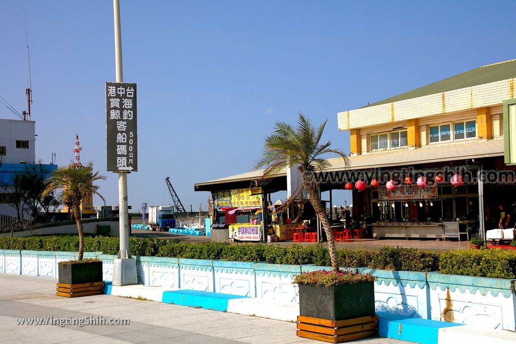 YTS_YTS_20191020_台中梧棲漁港／濱海公園／３Ｄ彩繪／觀光船Taichung Wuchi Fishing Port040_539A7263.jpg