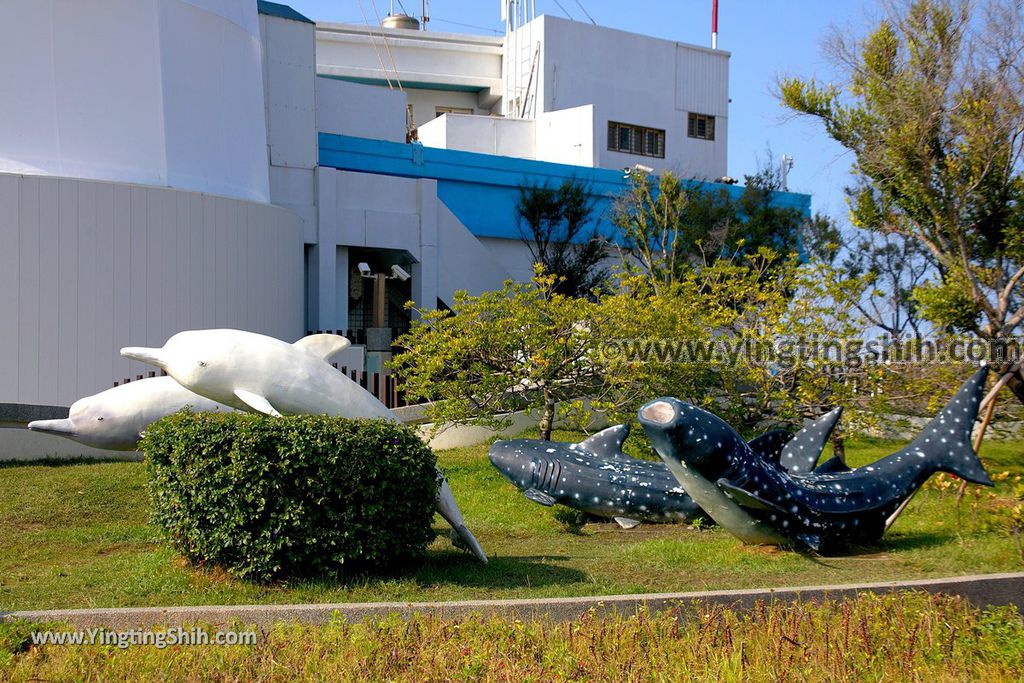 YTS_YTS_20191020_台中梧棲漁港／濱海公園／３Ｄ彩繪／觀光船Taichung Wuchi Fishing Port045_539A7268.jpg