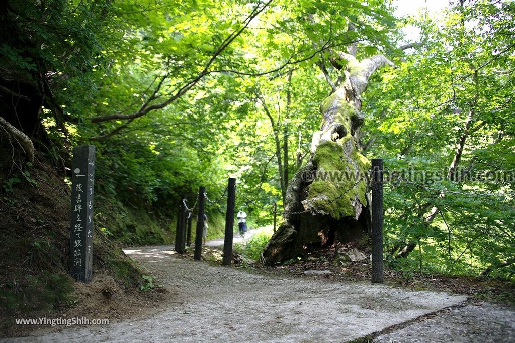 YTS_YTS_20190819_日本東北山形銀山温泉／和樂足湯／古山閣／白銀の滝Japan Tohoku Yamagata Ginzan Onsen141_539A3977.jpg