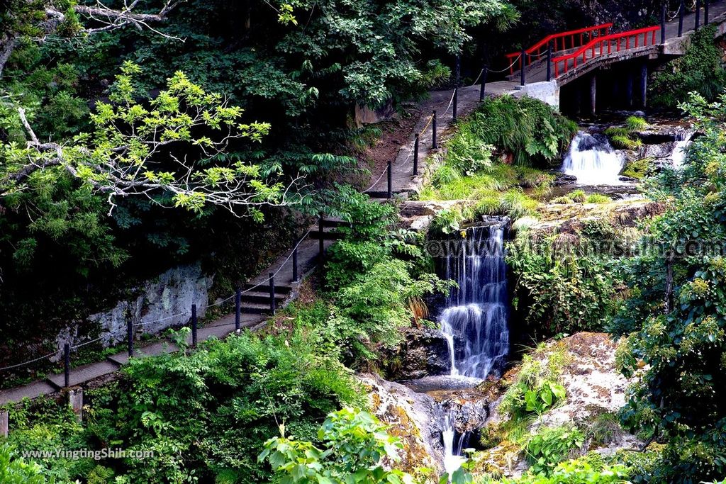 YTS_YTS_20190819_日本東北山形銀山温泉／和樂足湯／古山閣／白銀の滝Japan Tohoku Yamagata Ginzan Onsen163_539A4176.jpg