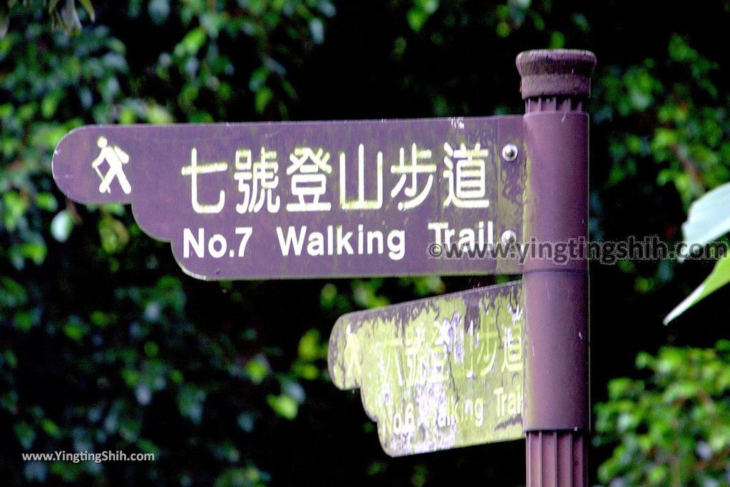 YTS_YTS_20180915_台中北屯大坑七號登山步道Taichung Beitun Dakeng Trail No.7005_3A5A4722.jpg