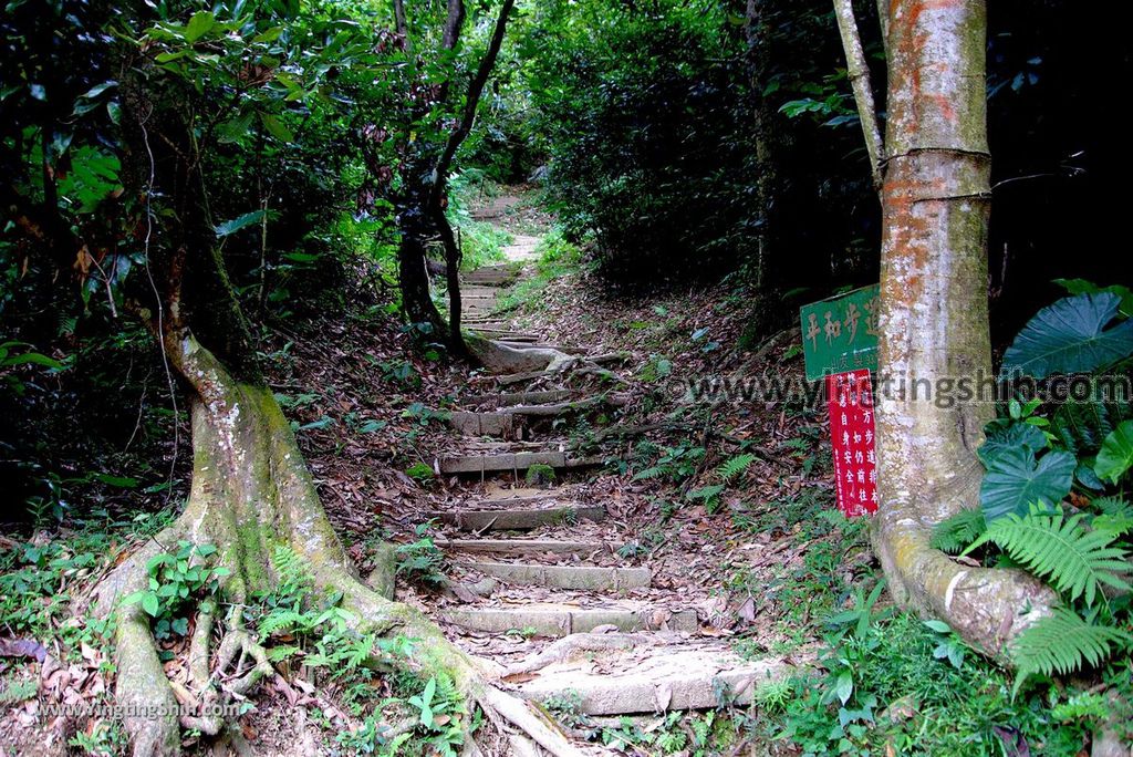 YTS_YTS_20180915_台中北屯大坑七號登山步道Taichung Beitun Dakeng Trail No.7042_3A5A4277.jpg