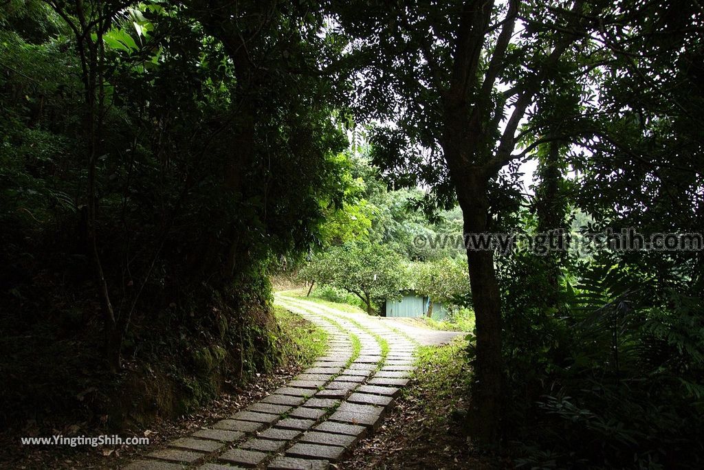 YTS_YTS_20180915_台中北屯大坑七號登山步道Taichung Beitun Dakeng Trail No.7045_3A5A4245.jpg