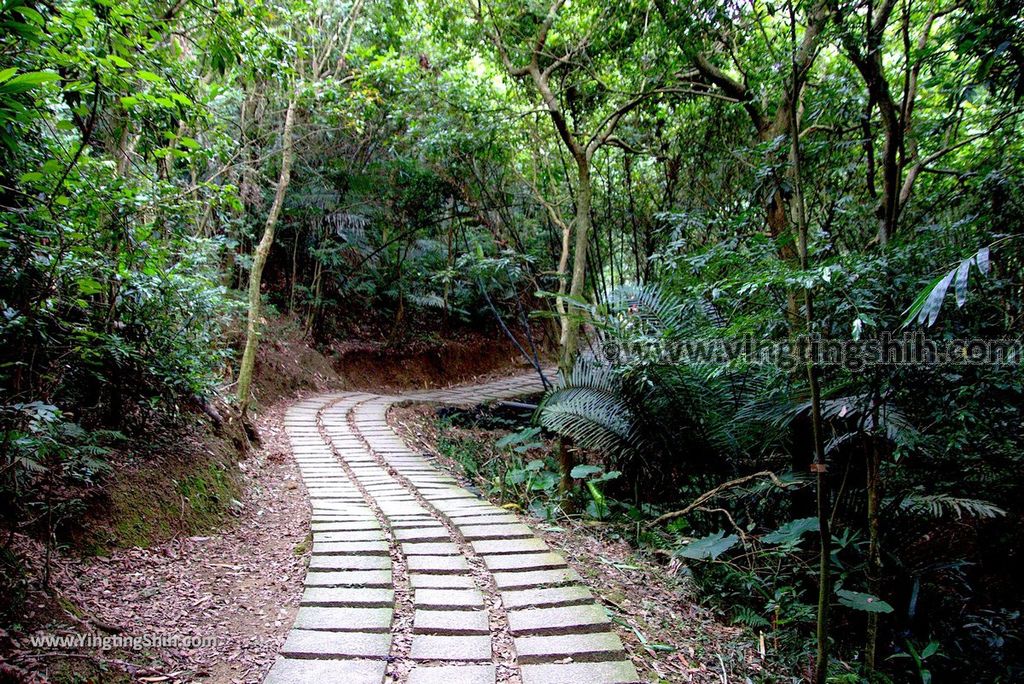 YTS_YTS_20180915_台中北屯大坑七號登山步道Taichung Beitun Dakeng Trail No.7049_3A5A4220.jpg