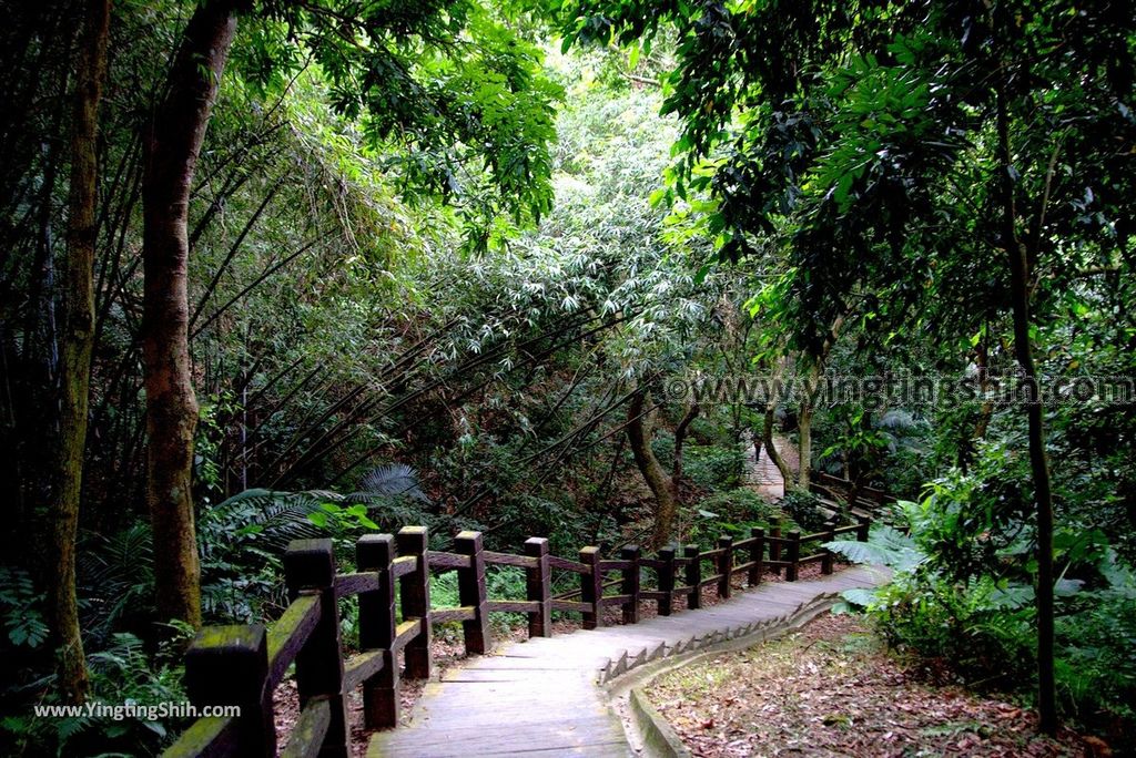 YTS_YTS_20180915_台中北屯大坑七號登山步道Taichung Beitun Dakeng Trail No.7052_3A5A4188.jpg