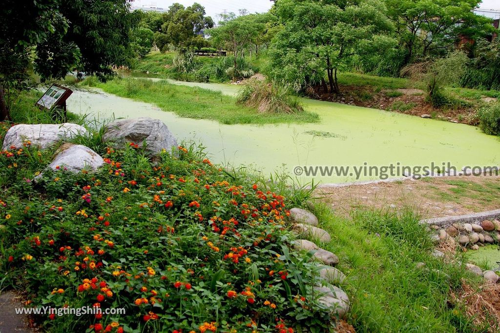 YTS_YTS_20180414_桃園蘆竹南崁溪人工濕地／錦興河濱公園／錦興宮／南崁自行車道Taoyuan Luzhu Nankan River Bikeway041_3A5A3135.jpg