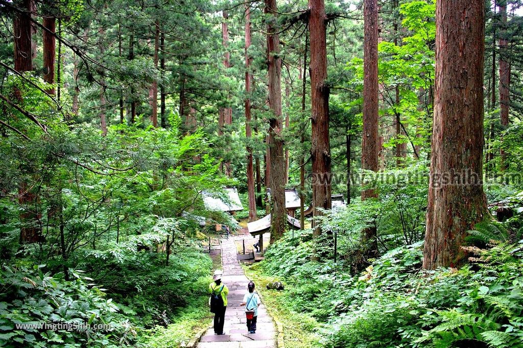 YTS_YTS_20190714_日本東北山形鶴岡羽黒山五重塔／三神合祭殿／杉並木／繼子、一之、二之坂Japan Tohoku Yamagata Of Mount Haguro061_539A9936.jpg