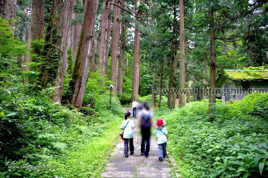 YTS_YTS_20190714_日本東北山形鶴岡羽黒山五重塔／三神合祭殿／杉並木／繼子、一之、二之坂Japan Tohoku Yamagata Of Mount Haguro105_539A0312.jpg