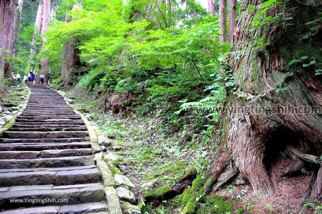 YTS_YTS_20190714_日本東北山形鶴岡羽黒山五重塔／三神合祭殿／杉並木／繼子、一之、二之坂Japan Tohoku Yamagata Of Mount Haguro124_539A0358.jpg