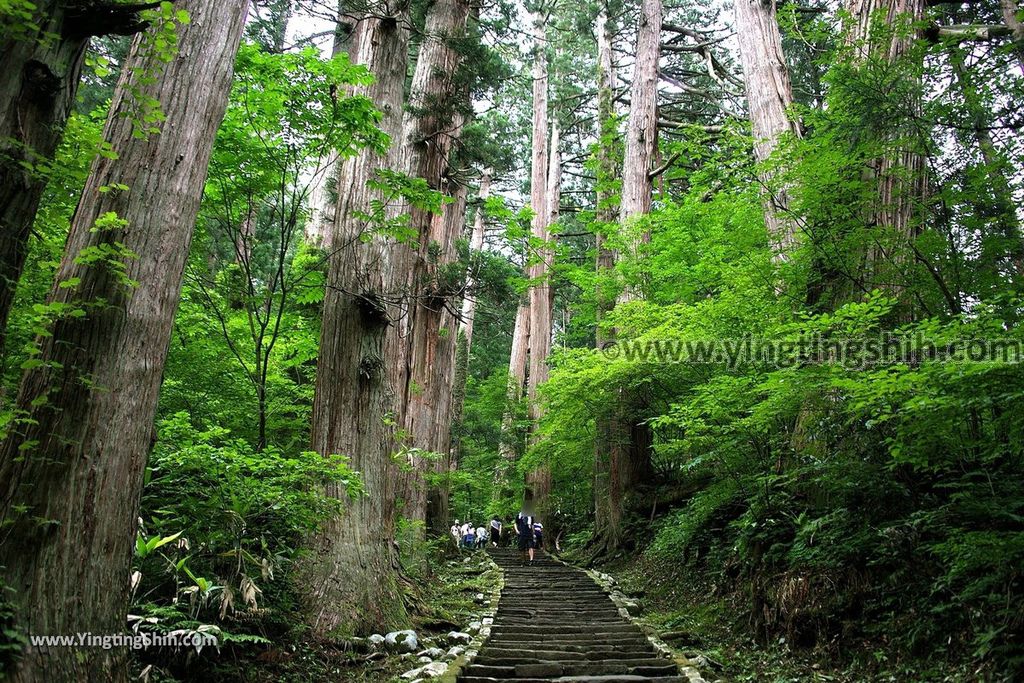 YTS_YTS_20190714_日本東北山形鶴岡羽黒山五重塔／三神合祭殿／杉並木／繼子、一之、二之坂Japan Tohoku Yamagata Of Mount Haguro125_539A0361.jpg