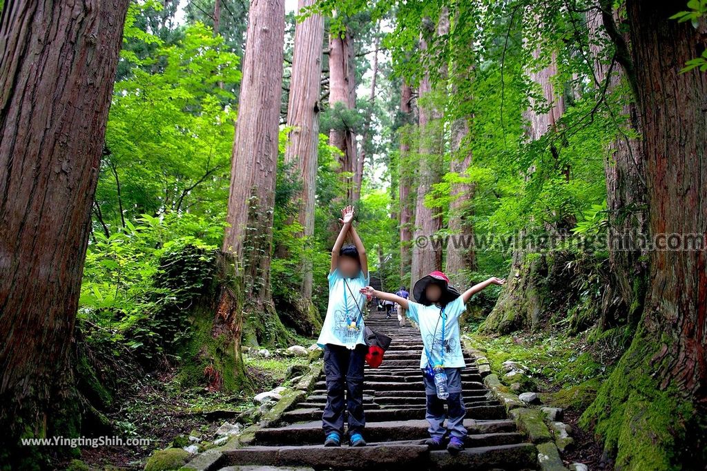 YTS_YTS_20190714_日本東北山形鶴岡羽黒山五重塔／三神合祭殿／杉並木／繼子、一之、二之坂Japan Tohoku Yamagata Of Mount Haguro128_539A0365.jpg