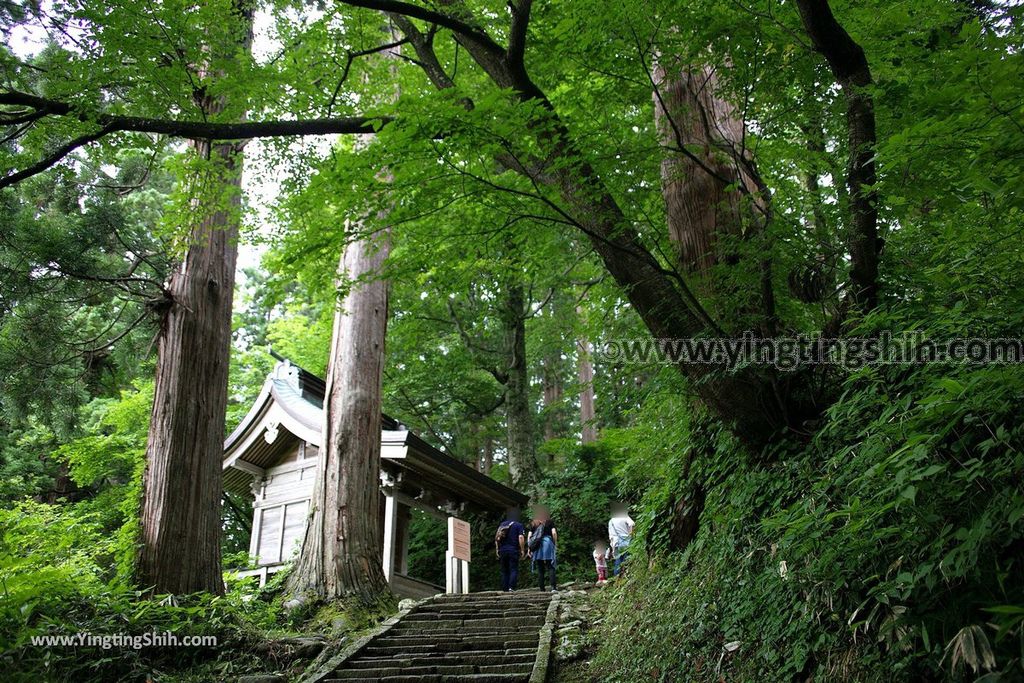 YTS_YTS_20190714_日本東北山形鶴岡羽黒山五重塔／三神合祭殿／杉並木／繼子、一之、二之坂Japan Tohoku Yamagata Of Mount Haguro133_539A0371.jpg