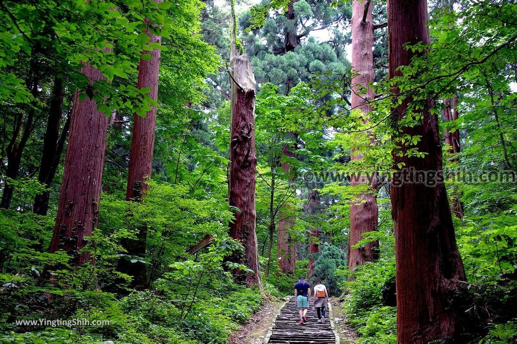 YTS_YTS_20190714_日本東北山形鶴岡羽黒山五重塔／三神合祭殿／杉並木／繼子、一之、二之坂Japan Tohoku Yamagata Of Mount Haguro149_539A0400.jpg