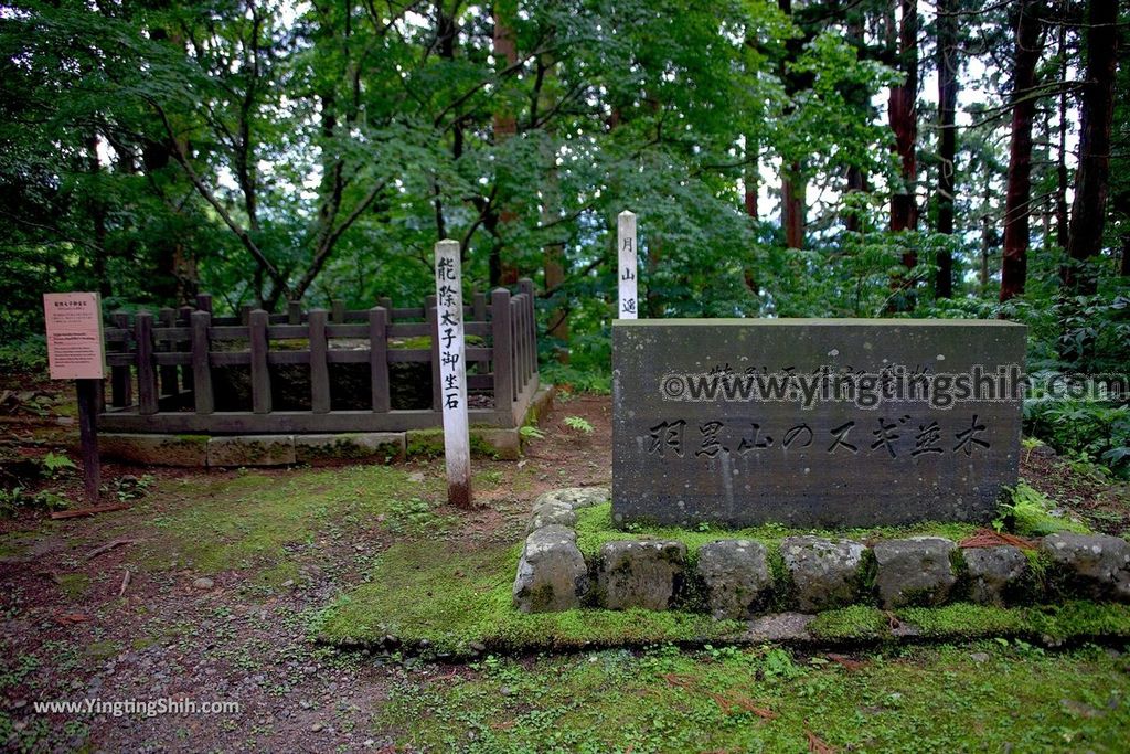 YTS_YTS_20190714_日本東北山形鶴岡羽黒山五重塔／三神合祭殿／杉並木／繼子、一之、二之坂Japan Tohoku Yamagata Of Mount Haguro199_539A0495.jpg