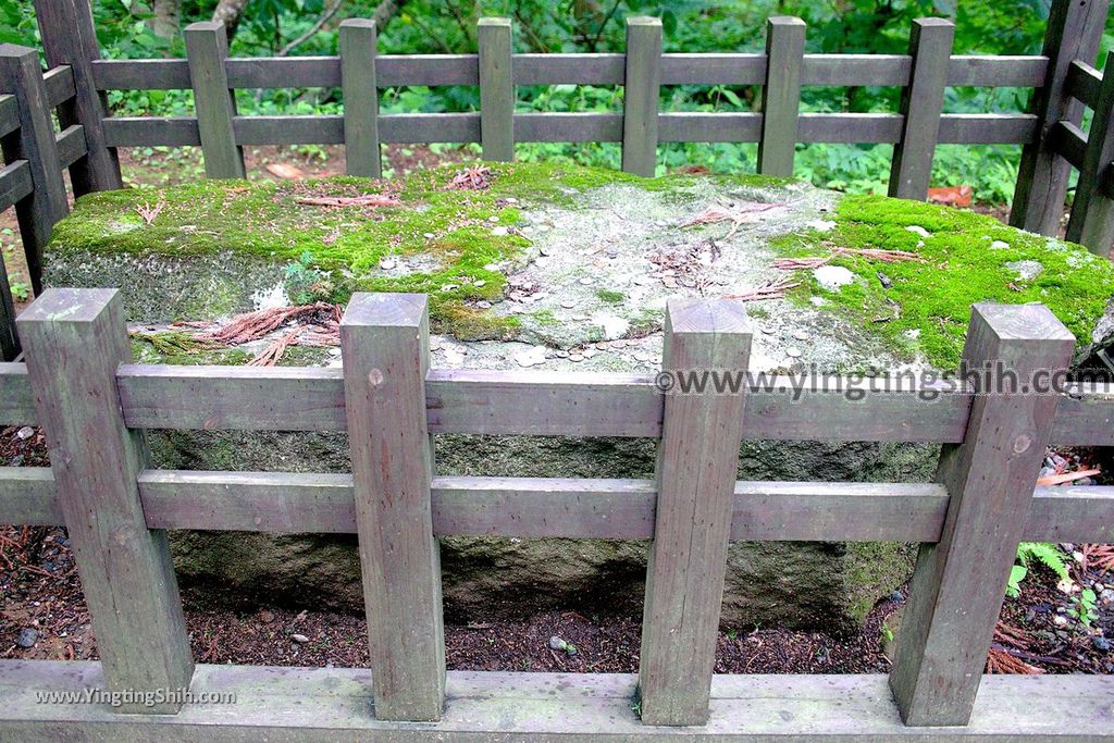 YTS_YTS_20190714_日本東北山形鶴岡羽黒山五重塔／三神合祭殿／杉並木／繼子、一之、二之坂Japan Tohoku Yamagata Of Mount Haguro203_539A0500.jpg