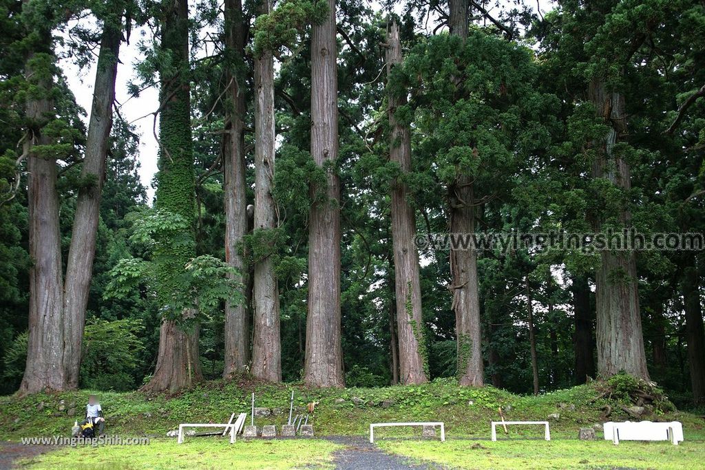 YTS_YTS_20190714_日本東北山形鶴岡羽黒山五重塔／三神合祭殿／杉並木／繼子、一之、二之坂Japan Tohoku Yamagata Of Mount Haguro285_539A0602.jpg