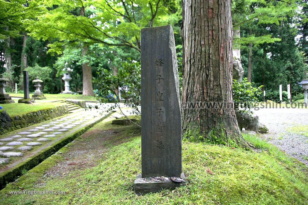 YTS_YTS_20190714_日本東北山形鶴岡羽黒山五重塔／三神合祭殿／杉並木／繼子、一之、二之坂Japan Tohoku Yamagata Of Mount Haguro310_539A0650.jpg