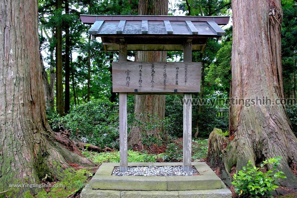 YTS_YTS_20190714_日本東北山形鶴岡羽黒山五重塔／三神合祭殿／杉並木／繼子、一之、二之坂Japan Tohoku Yamagata Of Mount Haguro321_539A0665.jpg