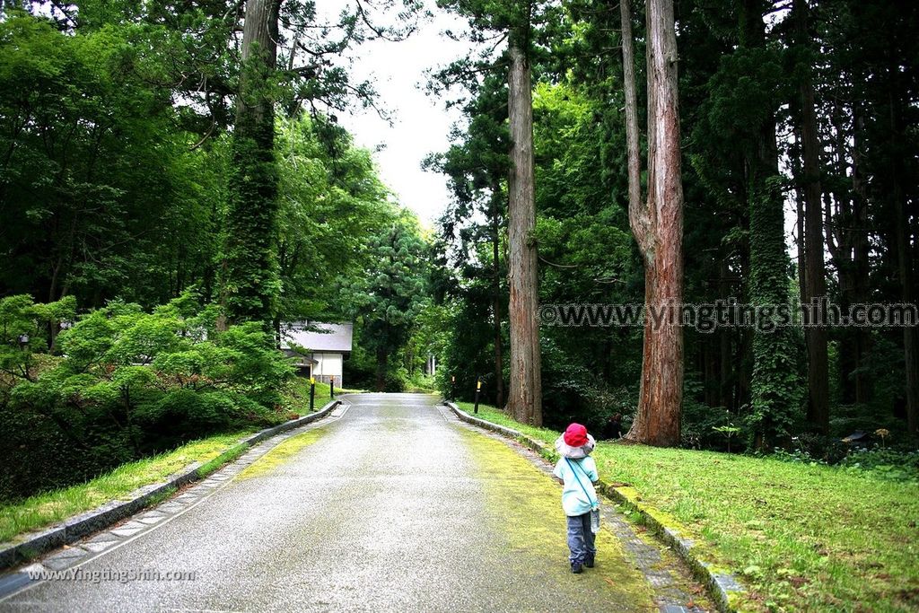 YTS_YTS_20190714_日本東北山形鶴岡羽黒山五重塔／三神合祭殿／杉並木／繼子、一之、二之坂Japan Tohoku Yamagata Of Mount Haguro325_539A0670.jpg