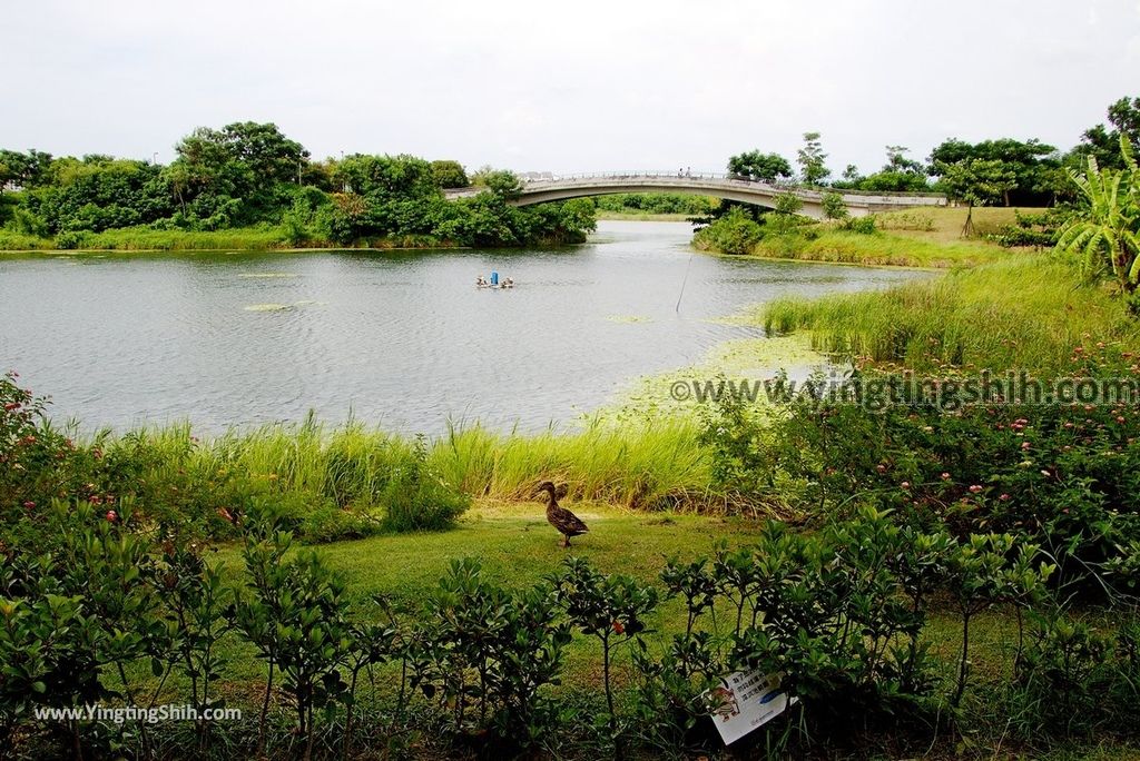 YTS_YTS_20180804_台南安南雲天廣場水舞台／國立臺灣歷史博物館Tainan Annan National Museum of Taiwan History065_3A5A0823.jpg