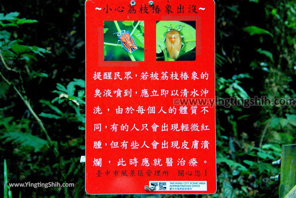 YTS_YTS_20180915_台中北屯大坑八號登山步道／風動石公園／南海寺Taichung Beitun Dakeng Trail No.8026_3A5A3228.jpg