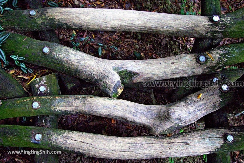 YTS_YTS_20180915_台中北屯大坑八號登山步道／風動石公園／南海寺Taichung Beitun Dakeng Trail No.8036_3A5A3444.jpg