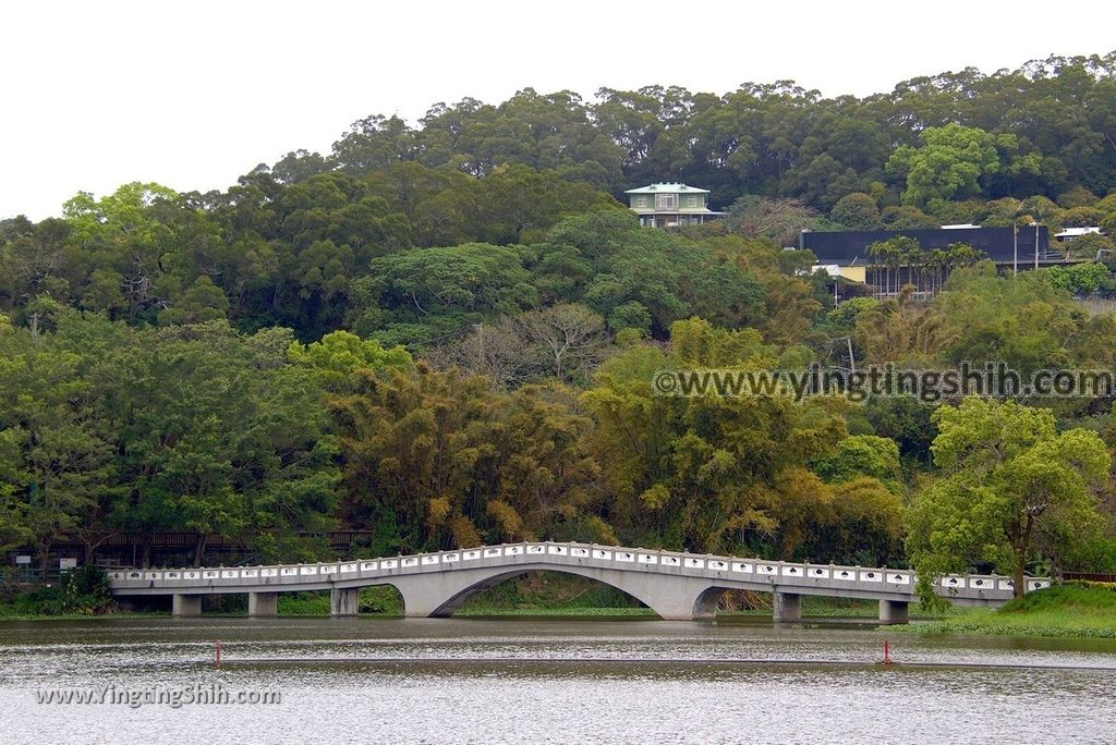 YTS_YTS_20180306_新竹東區新竹八景／青草湖風景特定區／清風明月牆／難忘的鳳凰橋Hsinchu East Green Grass Lake073_3A5A5731.jpg