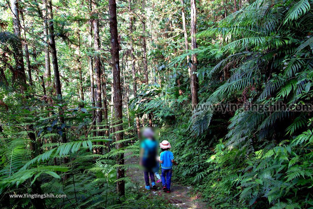 YTS_YTS_20180616_新竹橫山騎龍古道／糯米橋Hsinchu Hengshan Qi-Long Ancient Path022_3A5A4283.jpg