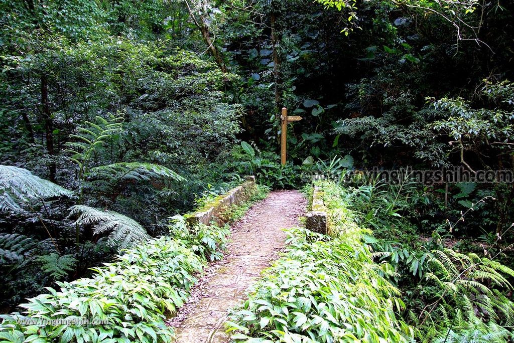 YTS_YTS_20180616_新竹橫山騎龍古道／糯米橋Hsinchu Hengshan Qi-Long Ancient Path035_3A5A4440.jpg