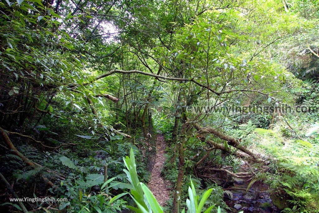 YTS_YTS_20180616_新竹橫山騎龍古道／糯米橋Hsinchu Hengshan Qi-Long Ancient Path041_3A5A4452.jpg