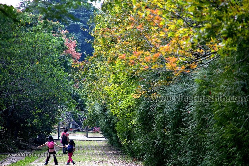 YTS_YTS_20191026_台中東勢林業文化園區／文化景觀Taichung Dongshih Forestry Culture Park034_539A8158.jpg