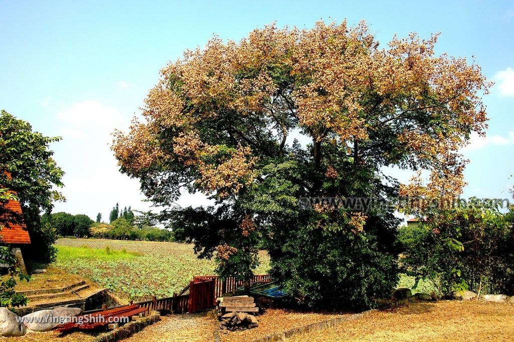 YTS_YTS_20191026_台中東勢林業文化園區／文化景觀Taichung Dongshih Forestry Culture Park056_539A8273.jpg