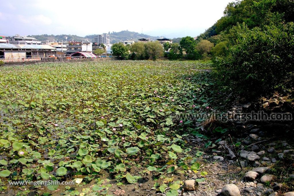 YTS_YTS_20191026_台中東勢林業文化園區／文化景觀Taichung Dongshih Forestry Culture Park058_539A8311.jpg